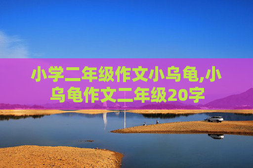 小学二年级作文小乌龟,小乌龟作文二年级20字