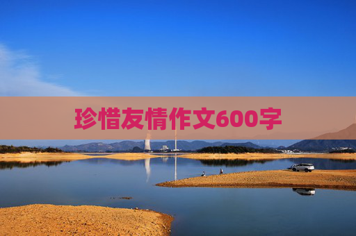 珍惜友情作文600字