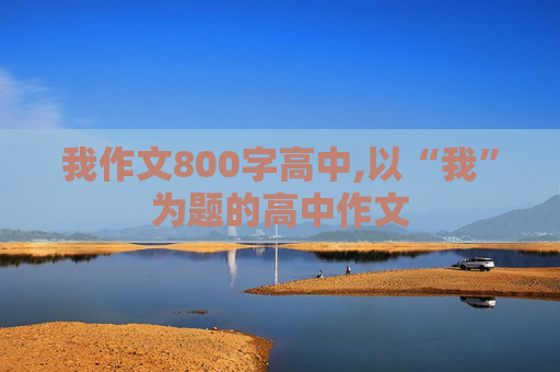 我作文800字高中,以“我”为题的高中作文