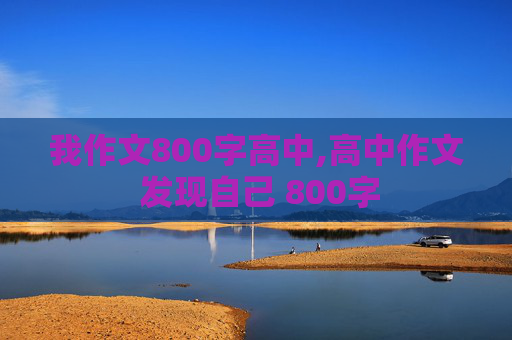 我作文800字高中,高中作文 发现自己 800字