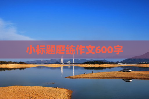 小标题磨练作文600字