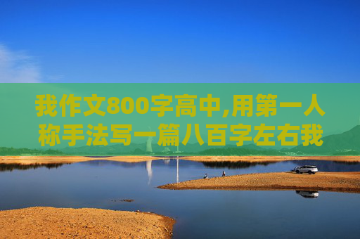 我作文800字高中,用第一人称手法写一篇八百字左右我的自传高中作文