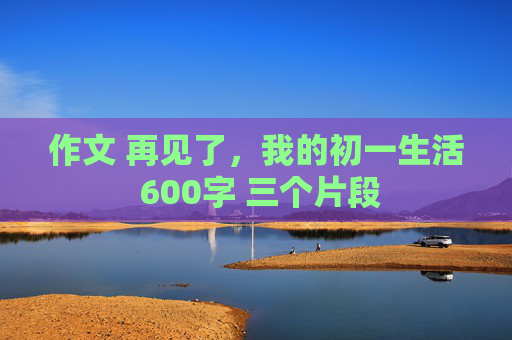 作文 再见了，我的初一生活 600字 三个片段