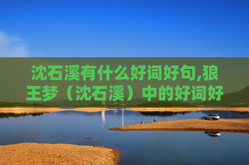 沈石溪有什么好词好句,狼王梦（沈石溪）中的好词好句好段