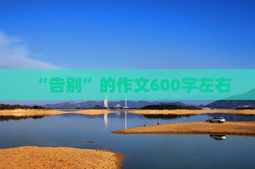 “告别”的作文600字左右