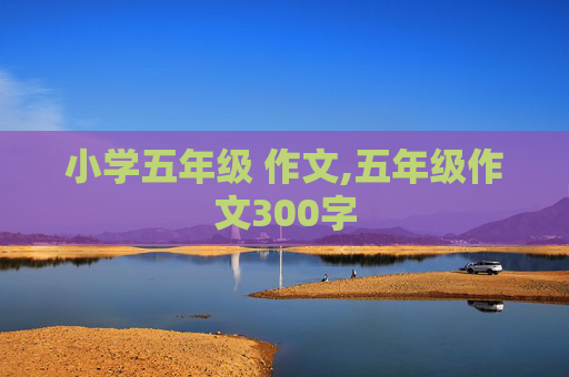 小学五年级 作文,五年级作文300字