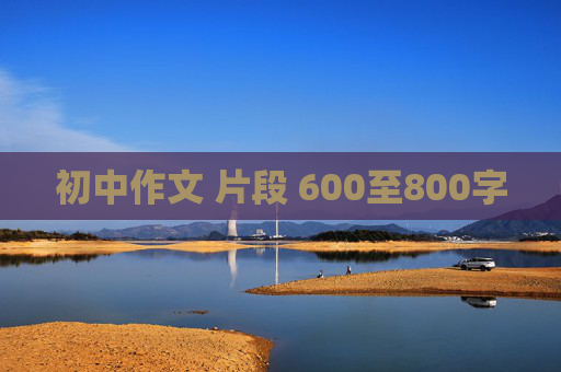 初中作文 片段 600至800字