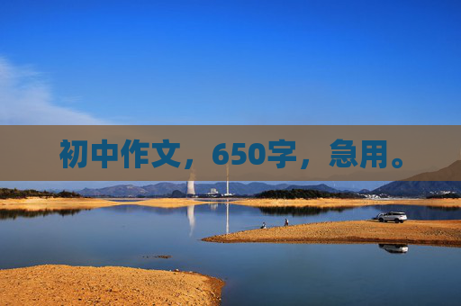 初中作文，650字，急用。