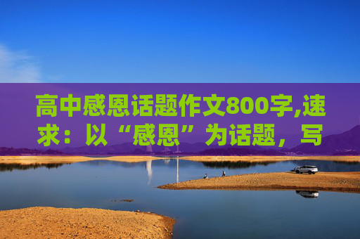 高中感恩话题作文800字,速求：以“感恩”为话题，写一篇800字的高中作文，内容不要俗的，越新颖越好。