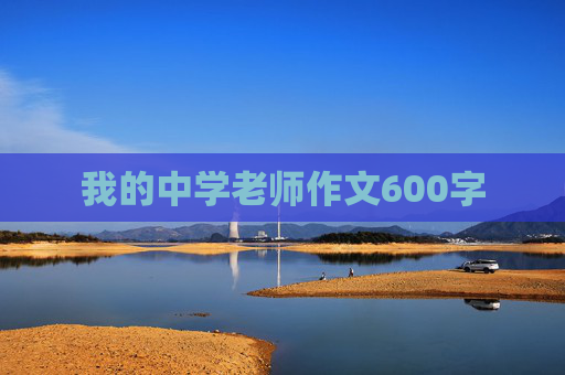 我的中学老师作文600字