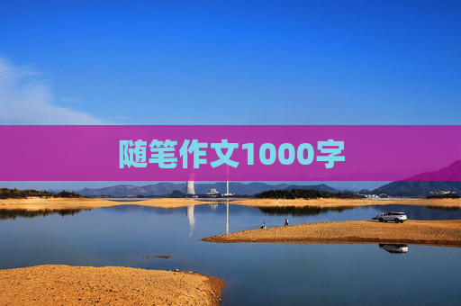 随笔作文1000字