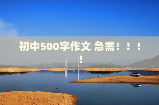 初中500字作文 急需！！！！