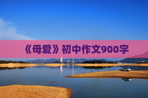 《母爱》初中作文900字