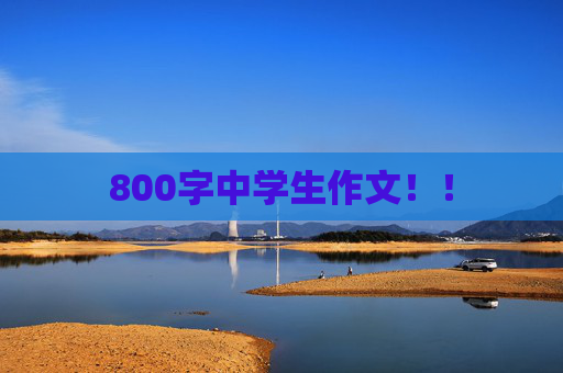 800字中学生作文！！