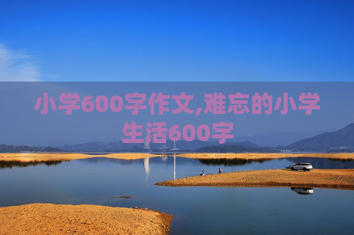 小学600字作文,难忘的小学生活600字