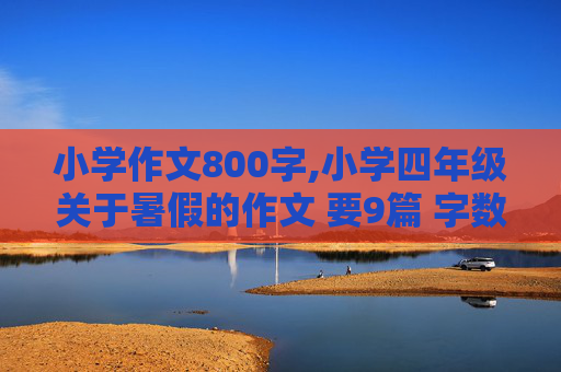 小学作文800字,小学四年级关于暑假的作文 要9篇 字数在800字以内