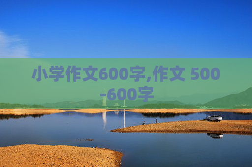 小学作文600字,作文 500-600字