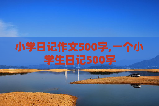 小学日记作文500字,一个小学生日记500字