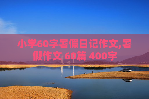 小学60字暑假日记作文,暑假作文 60篇 400字