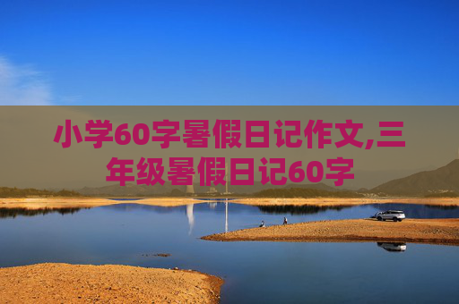 小学60字暑假日记作文,三年级暑假日记60字