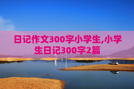 日记作文300字小学生,小学生日记300字2篇