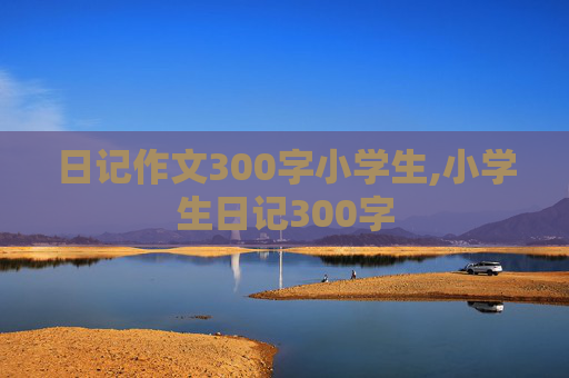 日记作文300字小学生,小学生日记300字