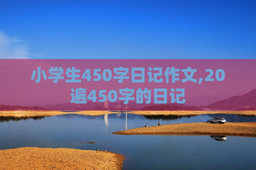 小学生450字日记作文,20遍450字的日记