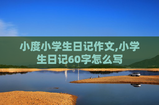 小度小学生日记作文,小学生日记60字怎么写