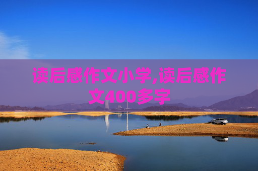 读后感作文小学,读后感作文400多字