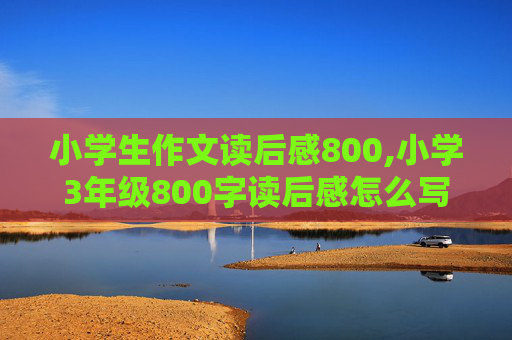 小学生作文读后感800,小学3年级800字读后感怎么写