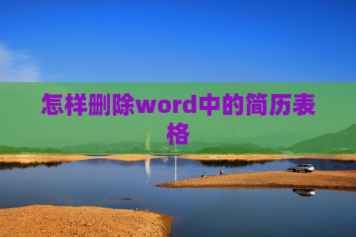 怎样删除word中的简历表格