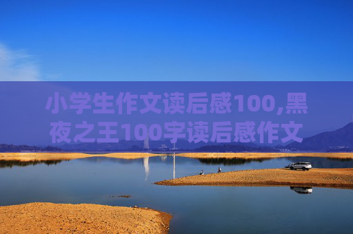 小学生作文读后感100,黑夜之王100字读后感作文