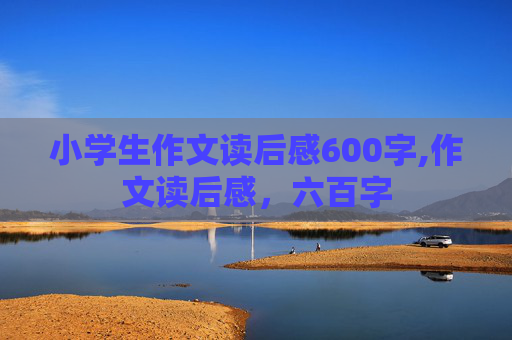 小学生作文读后感600字,作文读后感，六百字