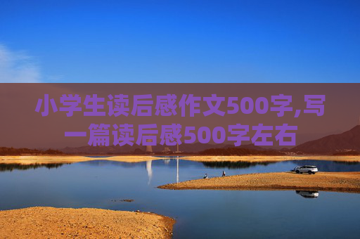 小学生读后感作文500字,写一篇读后感500字左右