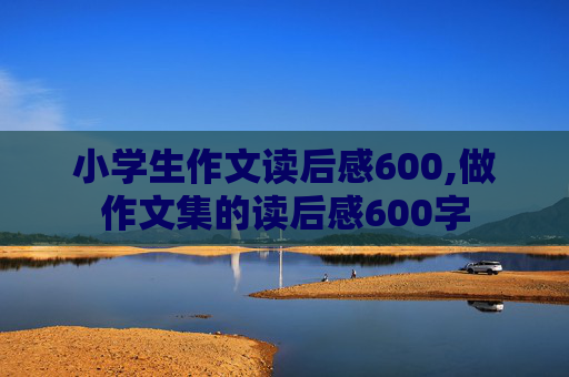 小学生作文读后感600,做作文集的读后感600字