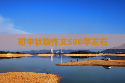 初中状物作文500字左右