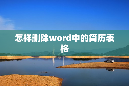 怎样删除word中的简历表格