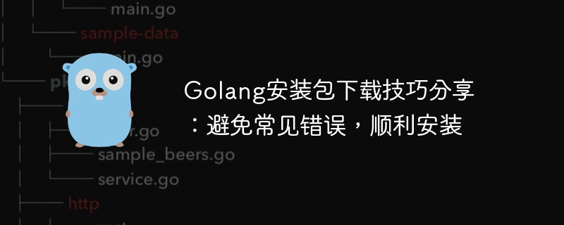 Golang包安装攻略：避免常见错误，顺利下载安装