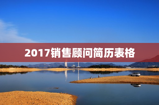 2017销售顾问简历表格