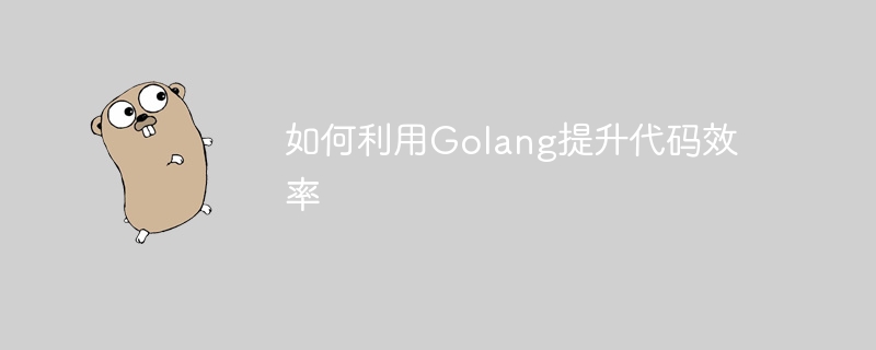 如何利用golang提升代码效率