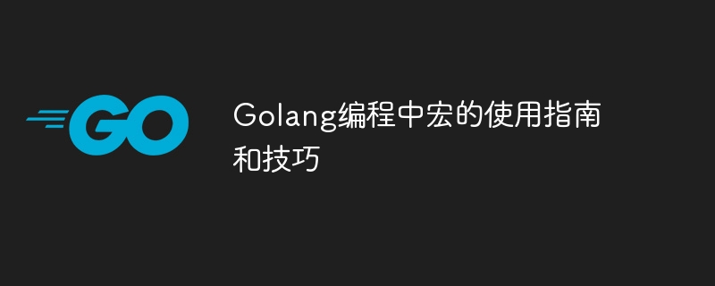 Golang编程中宏的使用指南和技巧