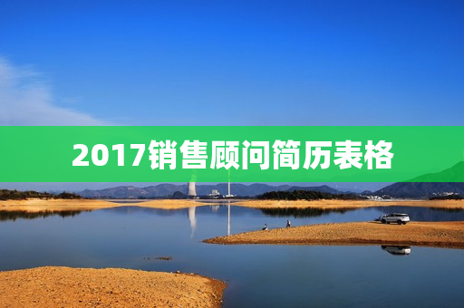 2017销售顾问简历表格