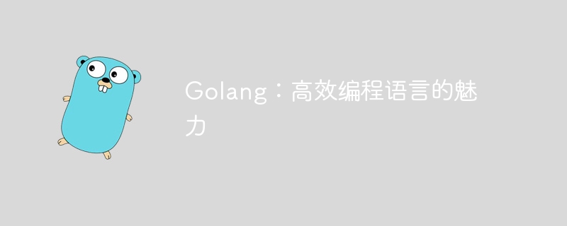 golang：高效编程语言的魅力