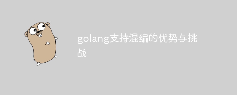 golang支持混编的优势与挑战