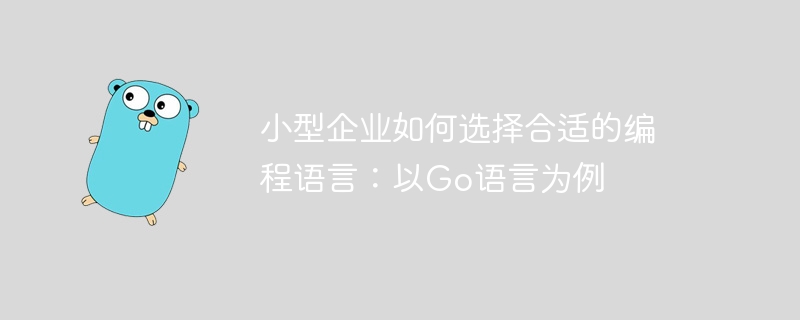 选择适合小型企业的编程语言：以Go语言为例