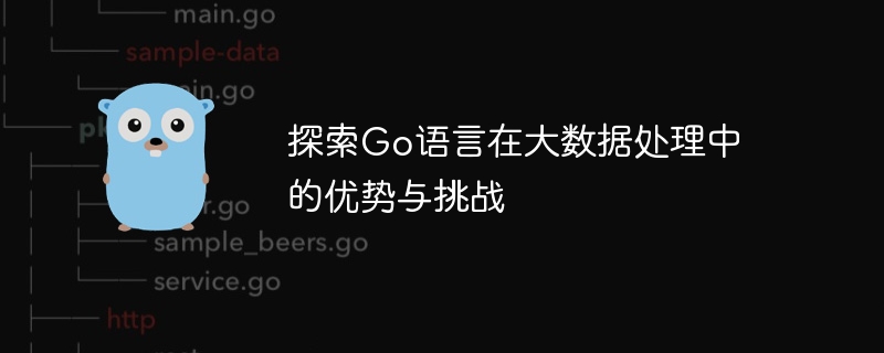 探索go语言在大数据处理中的优势与挑战