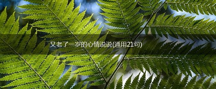 又老了一岁的心情说说(通用21句),第1张