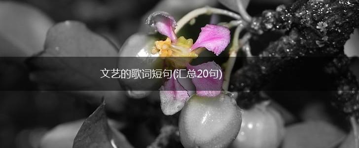 文艺的歌词短句(汇总20句),第1张